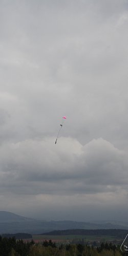 2013 Svojek Mirek Topinka